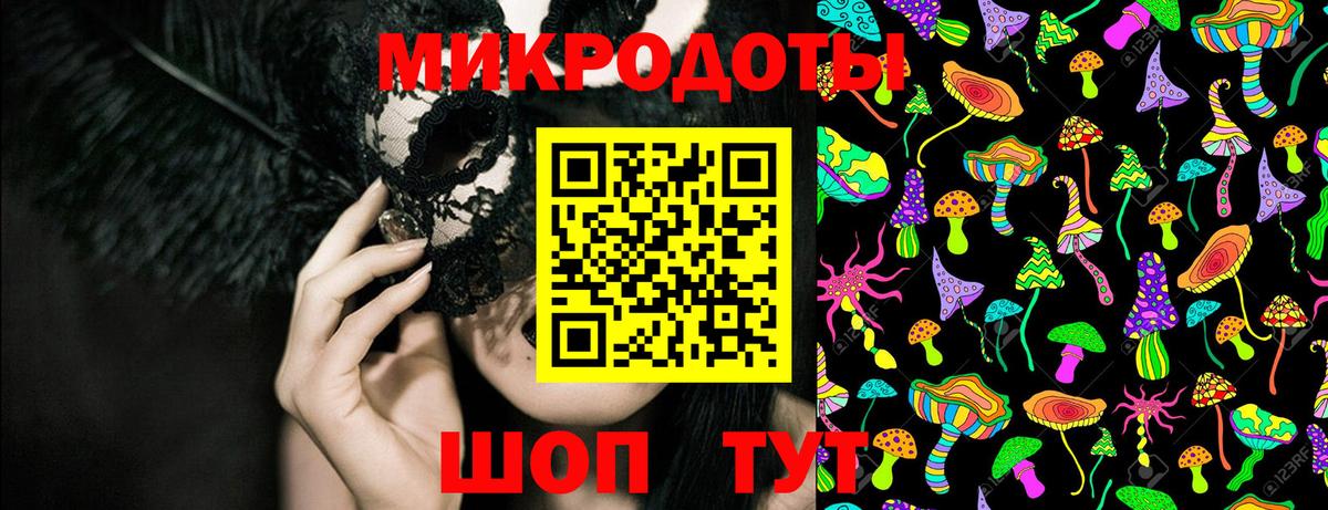 Псилоцибиновые грибы Psilocybe Губкин