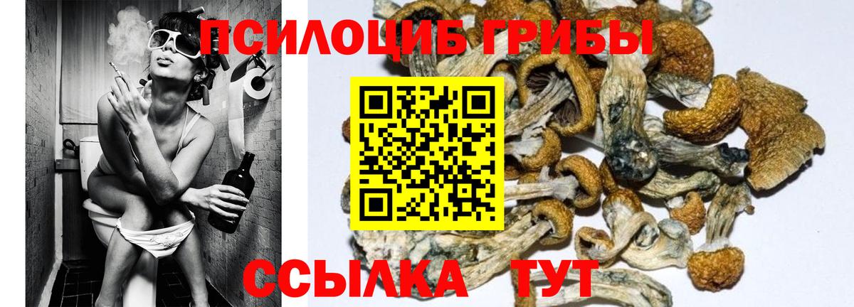 Псилоцибиновые грибы Magic Shrooms  Вход с VPN  Губкин  Псилоцибиновые грибы ЛСД 